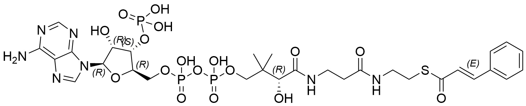 Coenzyme A,S-[(2E)-3-phenyl-2-propenoate]